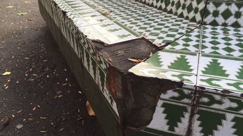 DESTROZOS EN LOS JARDINES DE M�NDEZ N��EZ