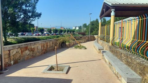 Los árboles que fueron arrancados junto a la guardería municipal