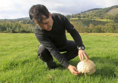 El experto Luis Cuba, el pasado viernes recolectando hongos en el monte Caxado. 