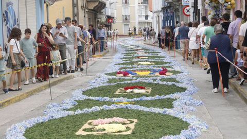 Alfombras Florales de Ares
