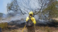 Bombero forestal extinguiendo el incendio en Do�ana