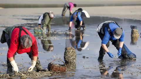 Mariscadorasgallegas, en una fotografa de archivo