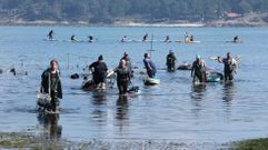 Mariscadoras de a pie en la r�a de Pontevedra regresando al punto de control al finalizar la jornada de trabajo