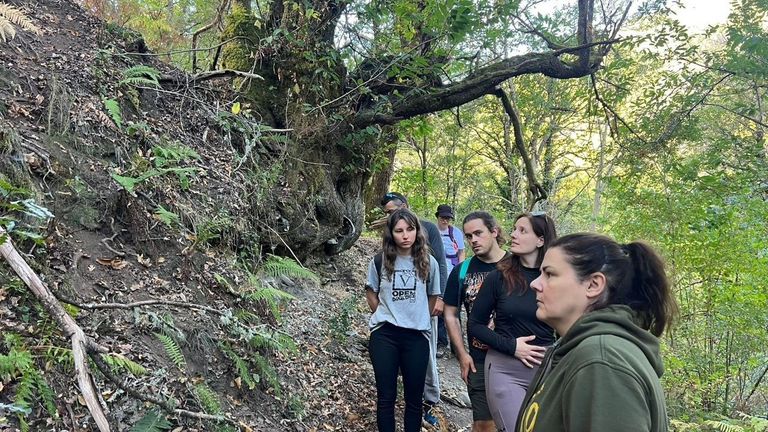 Participantes en el programa de rutas gastronómicas «Os camiños dos sabores», organizado por la asociación Serra do Courel, visitando un bosque de castaños en el municipio de Folgoso