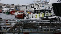 Pesqueros atracados en el puerto de Burela a finales de enero del 2025