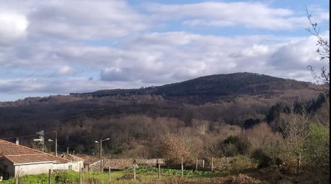 Monte donde se proyecta el parque e�lico de Celanova