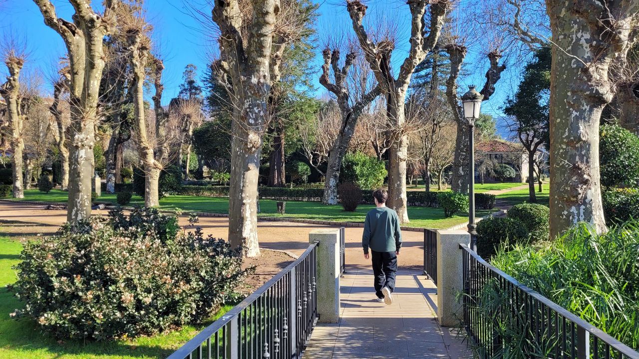 Un banco para los enamorados en Padrón, tres estatuas y 300 especies
