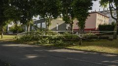 Los da�os provocados en Lugo por la tormenta de la madrugada del domingo al lunes, en im�genes