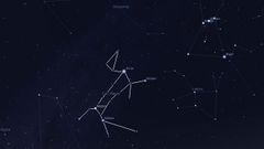 La constelaci�n de Canis Mayor con la estrella Sirio