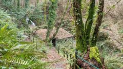 carral