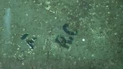 Grabaci�n acu�tica de un narcovelero hundido frente a las costas de A Guarda