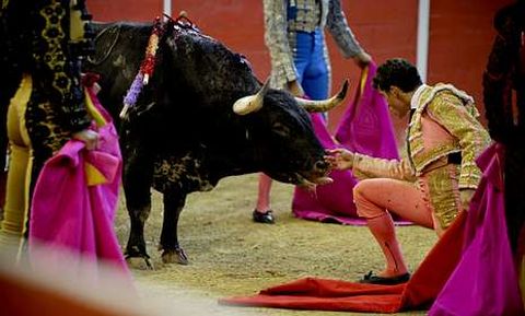 El torero Daniel Luque, en la arena del Coliseo durante la feria taurina del pasado año.