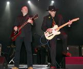 La m�tica banda de Vigo regresa a las once a Vilagarc�a. 