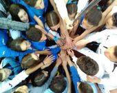 Atletas del Santiago y el Millaraio hacen pi�a antes de un campeonato. 