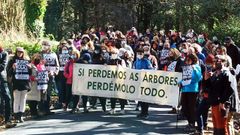 Personas que se oponen a la tala de rboles en el acceso a San Pedro de Rocas se concentraron para protestar.