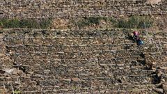 Vi�edos en bancales en la ribera de Doade, una de las elegidas para los talleres sobre construcci�n de muros