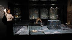 La muestra estar� disponible hasta el 12 de julio en A Coru�a