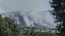 Incendio forestal en Vilardevs
