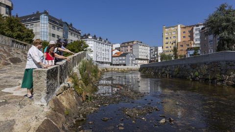 El r�o Anll�ns, esta tarde, a su paso por el centro de Carballo