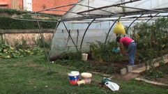 Fotograma del documental La Huerta de la Esquina.Fotograma del documental La Huerta de la Esquina