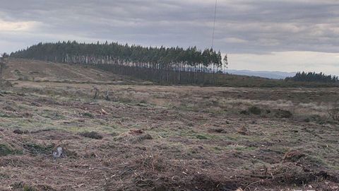 Montes de la parroquia de A rrea (Riotorto), un municipio donde la tasa por saca de madera causa polmica