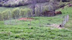 Cierre para proteger panales de abejas aconsejado por Fapas.Cierre para proteger panales de abejas aconsejado por Fapas