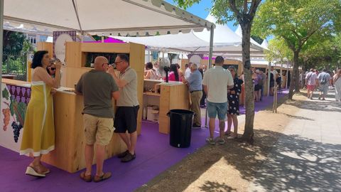 Numerosas personas se acercaron este domingo a los puestos de las bodegas instalados en el paseo del Malecn