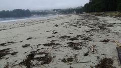 La playa de Cabanas, llena de basura tras los temporales del invierno.