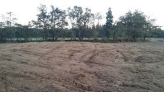 La finca donde se encontraban las m�moas, todav�a con las marcas de la maquinaria pesada. 