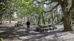 �Lugares en Barbanza perfectos para que tu churrascada sea un �xito asegurado!