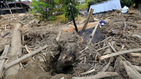 Elefante enterrado tras las inundaciones de Indonesia