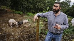 Mart�n Touceda ha introducido porco celta en la aldea modelo de Osmo, en Cenlle. 