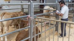 La vacunaci�n�contra la lengua azul dej� de ser obligatoria hace ahora un a�o