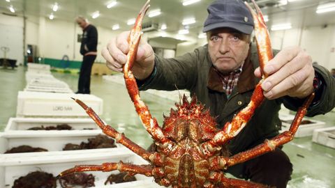 En imagen de archivo, subasta de marisco en la lonja de Burela