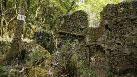 Senda peatonal hasta la aldea de Xei