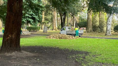 Retirada de hojarasca tras el temporal en el Campo San Francisco.