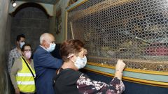 San Campio recupera su romer�a tras el par�n obligado por la pandemia