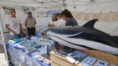 El mercado de Mar de Mares, en A Coru�a