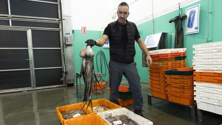 La rula de Corcubi�n, en la foto, ayer, lidera las ventas de cefal�podo en la Costa da Morte.