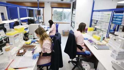 En el laboratorio de Fontao se trabaja para clientes de dentro y de fuera de Galicia