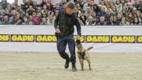 Actos de la Guardia Real en Lugo: actos en Equigal