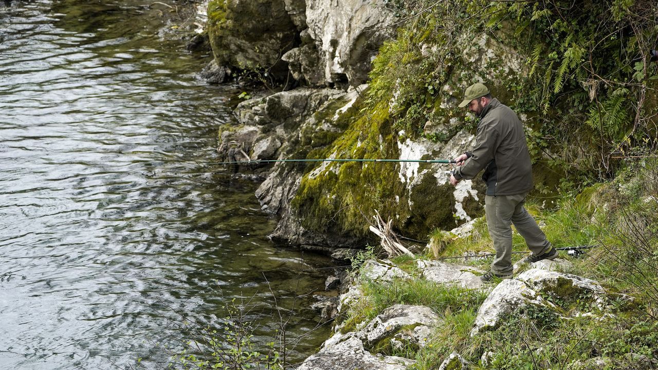 Los últimos coletazos del «rey del río»: expertos reclaman catalogar al salmón como especie amenazada ante el desplome de capturas
