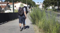 Maleza sin control en zonas urbanas de Santiago