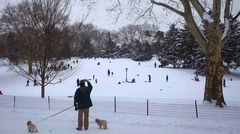 Central Park totalmente cubierto de nieve 