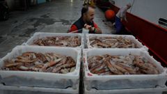 Descarga de pota voladora en A Coru�a, en octubre del 2022, cuando el cefal�podo apareci� como un man� para los arrastreros gallegos