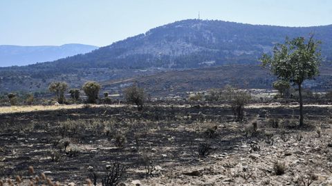 Vista de un paraje quemado tras el incendio de Navafra