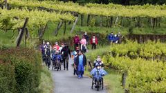 El Camino de Santiago renace tras el covid, as� es una etapa de la ruta portuguesa