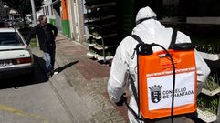 La Xunta reclama a la Diputaci�n de Lugo mayor apoyo a los ayuntamientos en la lucha contra la pandemia