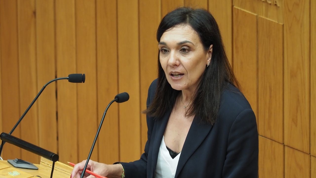 El PSdeG exige a la Xunta que desbloquee la tramitación de la ley de lucha integral contra incendios