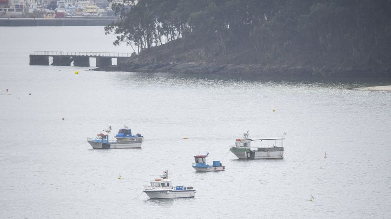 La Consellería do Mar anima a las cofradías marisqueras de Pontevedra a adherirse al convenio de regeneración